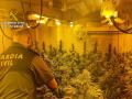 a Guardia Civil ha detenido a tres hombres por un delito de cultivo y elaboración de droga