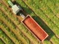 Imagen de un tractor con tomates