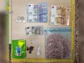 Material intervenido al detenido
