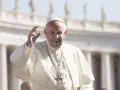 El 2017 fue el año de la lección de Europa del Papa Francisco. Con motivo de los sesenta años del Tratado de Roma, el Pontífice recibió a los 27 jefes de Estado de la Unión Europea, ante los que mostró su esperanza en el futuro de la unión. Durante esos doce meses, Francisco se desplazó hasta Egipto, Colombia, Myanmar y Bangladés, además de peregrinar al santuario de Fátima por el centenario de las apariciones de la Virgen María en Cova de Iria