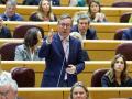 El senador del PP, Alfonso Serrano, interviene en el Senado