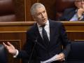 El ministro de Interior, Fernando Grande-Marlaska