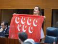 La portavoz de Vox en la Asamblea de Madrid, Isabel Pérez Moñino
