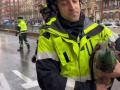 Bomberos después de rescatar a un pavo