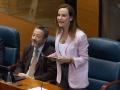 La portavoz de Vox en la Asamblea de Madrid, Isabel Pérez Moñino-Aranda, durante un Pleno
