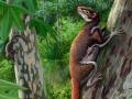 Mixodectes pungens (en primer plano), pequeños mamíferos que habitaron el oeste de América del Norte hace 62 millones de años, pesaban alrededor de 1,3 kilos, vivían en árboles y se alimentaban principalmente de hojas