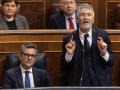 El ministro de Interior, Fernando Grande-Marlaska, interviene durante un pleno en el Congreso de los Diputados - Europa Press
