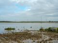 Inundaciones en el Palmar de Troya, en Sevilla (Andalucía)