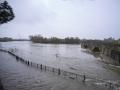 El río Tajo a su paso por Talavera de la reina este sábado