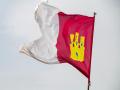 Bandera de Castilla-La Mancha