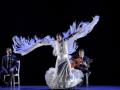 Imagen del bailaor Manuel Liñan durante su espectáculo flamenco

JUNTA DE ANDALUCÍA
05/4/2018