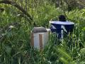 Imagen de una trampa instalada contra el mosquito del virus del Nilo