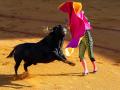 Torero