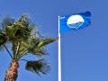 Bandera Azul en las playas de Playamar y Bajondillo de Torremolinos (Málaga)

AYTO TORREMOLINOS
05/7/2024