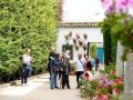 Jornada de puertas abiertas de todos los Patios del Palacio de Viana en Córdoba