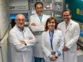 De izquierda a derecha, el, investigador del Área de Terapia Celular Enrique Andreu; el especialista en Reumatología Enrique Ornilla; la, especialista en Inmunología Susana Inogés; y el especialista en Nefrología José María Mora