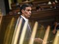 El presidente del Gobierno, Pedro Sánchez, interviene durante una sesión plenaria, en el Congreso