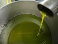 Producción de aceite en España
