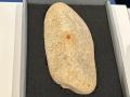 Hallazgo de una huella dactilar neandertal en Segovia