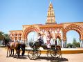 Martes de Feria en Córdoba