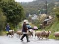 Dos pastores con sus ovejas bajo la lluvia en Moncelos, Abadín, Galicia (España).
