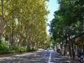 Imagen de la Gran Vía Marqués del Turia de Valencia.