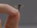 Minidrón chino del tamaño de un mosquito