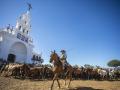 La tradicional Saca de las Yeguas de Doñana a su paso por la aldea de El Rocío.