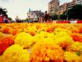 Imagen de la Batalla de Flores de la Feria de Julio de Valencia 2025.