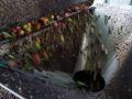 Molienda y batido en la “Almazara Tradicional”, en Gata (Cáceres)