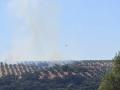 Incendio en un olivar.