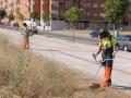 Operario durante el desbroce de un solar