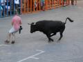 Imagen de un festejo taurino en una localidad de la provincia de Castellón