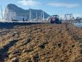 Labores de limpieza en la playa de Poniente de la Línea, en Cádiz