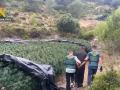 Imagen de a detención por la Guardia Civil del argelino que cultivaba marihuana en un pueblo de Valencia