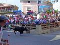 Encierros Alcalá del Júcar, Albacete