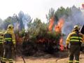 Contrafuego o fuego técnico como herramienta de combate de extinción en las inmediaciones del Arenal (Ávila)