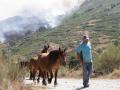 Un hombre, con sus caballos, en Porto de Sanabria, Zamora, pueblo golpeado por las llamas