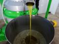 Extracción y filtrado de aceite en la “Almazara Tradicional”, en Gata (Cáceres)