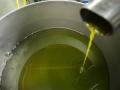 Aceite de primer prensado en frío tras el primer filtrado durante el comienzo de la temporada del aceite en la comarca de Quiroga (Galicia)