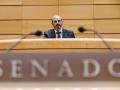 El presidente del Senado, Pedro Rollán, durante una sesión de control al Gobierno