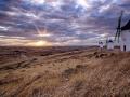 Molinos de Viento de Alcázar de San Juan, Ciudad Real