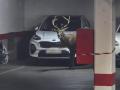 El animal ha accedido al parking municipal de San Martín