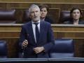 El ministro del Interior, Fernando Grande Marlaska, en el Pleno del Congreso