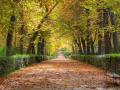 El parque de El Retiro, en otoño