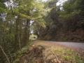 Otoño en un bosque de Galicia