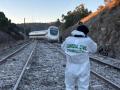 Agente de Criminalística de la Guardia Civil en la zona del accidente ferroviario en Adamuz (Córdoba)

REMITIDA / HANDOUT por GUARDIA CIVIL
Fotografía remitida a medios de comunicación exclusivamente para ilustrar la noticia a la que hace referencia la imagen, y citando la procedencia de la imagen en la firma
19/1/2026
