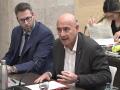 El diputado del PSC Mario García, durante la comisión