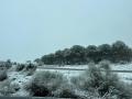 Nieve en carretera

EUROPA PRESS
17/1/2026