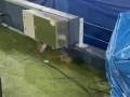 Ratas en el Camp Nou